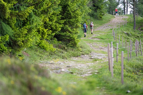 Wanderurlaub auf der Emberger Alm in Kärnten